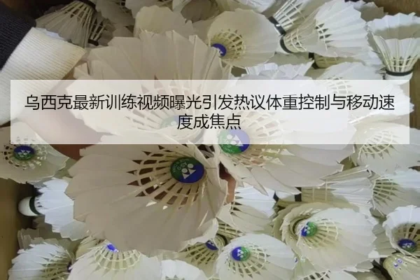 乌西克最新训练视频曝光引发热议体重控制与移动速度成焦点